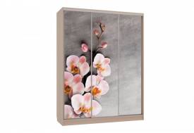 Шкаф-купе Бассо 7-600 78 дуб млечный