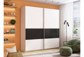 Шкаф-купе Прайм Широкий 2-х дверный ДСП/вставки Стекло Черное Белый Снег